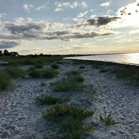 Lovely On A Plot, Only 500 Meters From The Water,